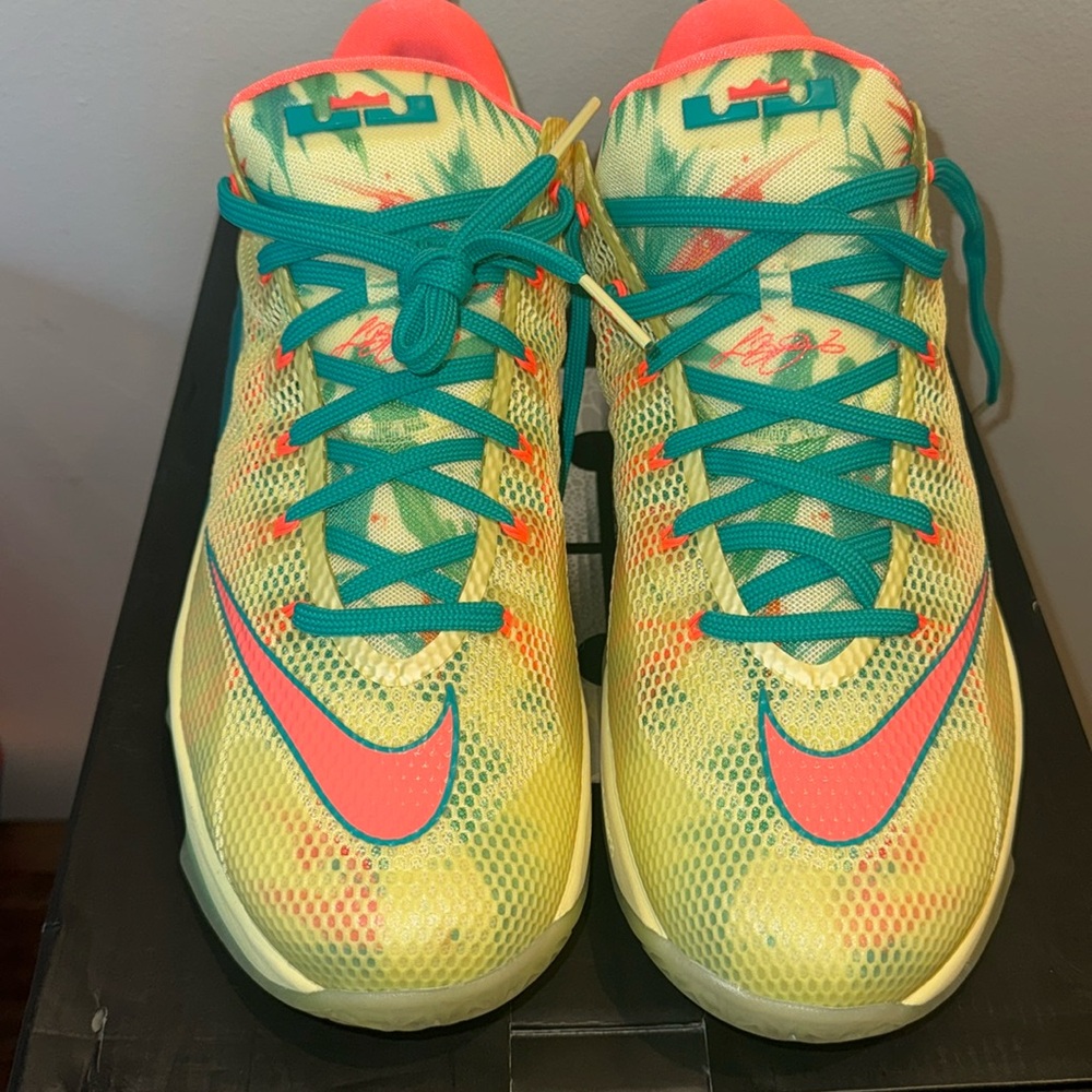 Brand New LeBron XII